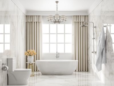 Elegant Bathtub Setup